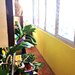Militari, 4 camere, confort 1 sporit,